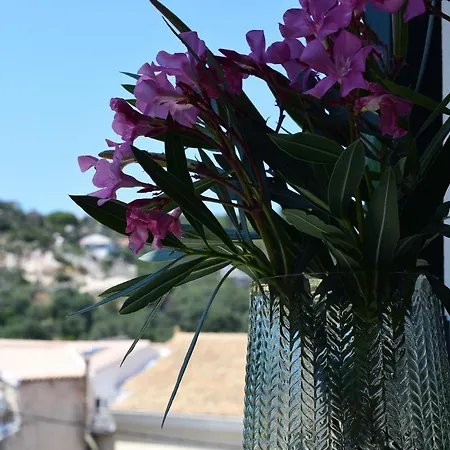 Paxos